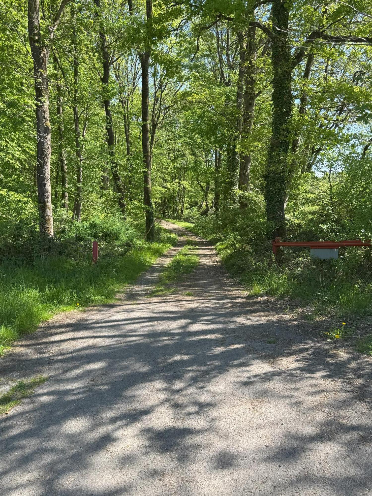 Urlaub Im Naturschutzgebiet Detmold Luaran gambar